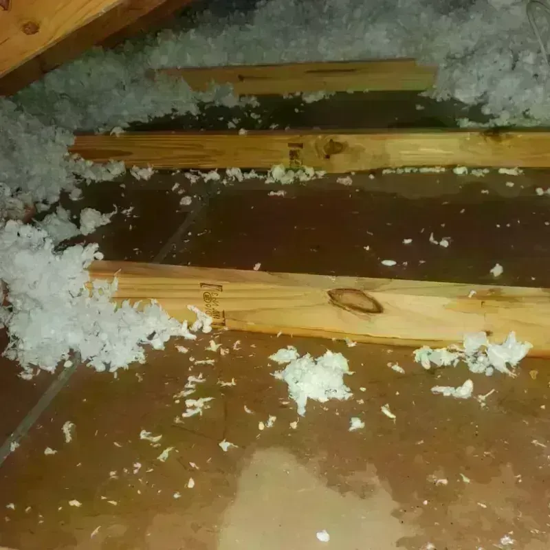 Attic Water Damage in Garden Home-Whitford, OR